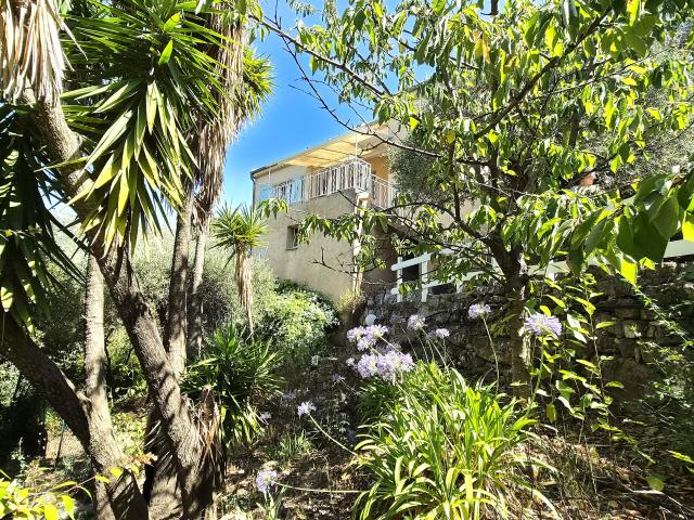 Maison vente à Nice, Drap