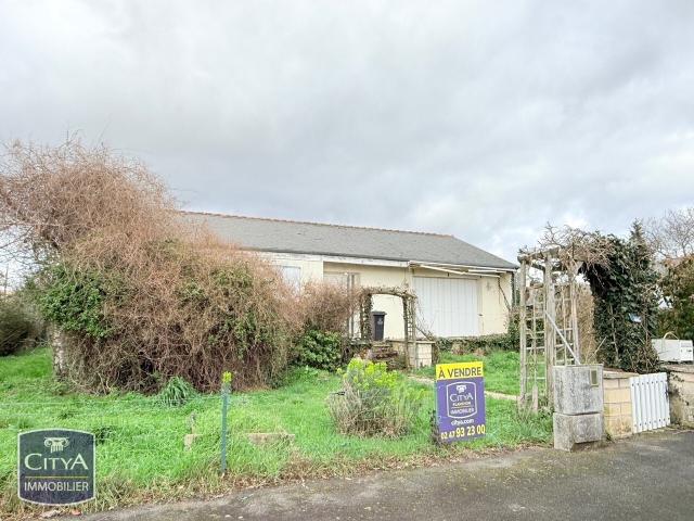 Maison vente à Chinon, Bourgueil
