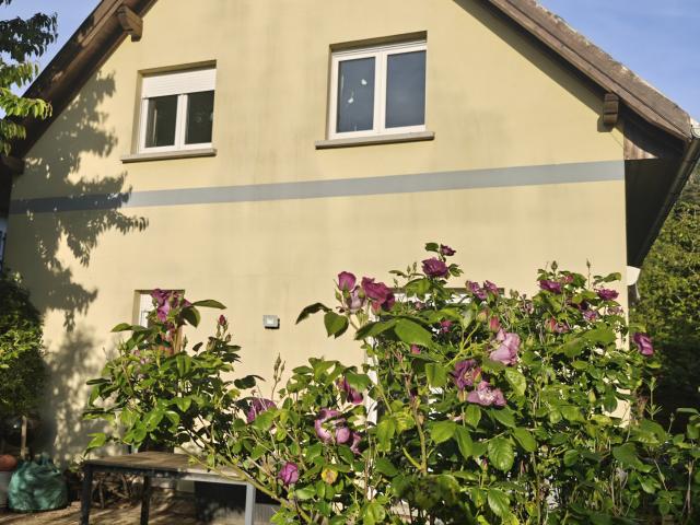 Maison vente à Bei der Muehle, Biederthal