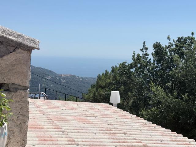 Maison vente à Nice, Castillon