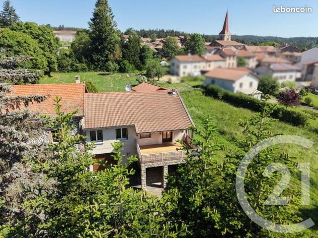 Maison vente à Le Puy-en-Velay, Céaux-d'allègre