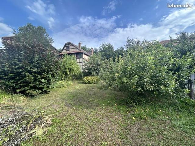 Maison vente à Saverne, Pfulgriesheim