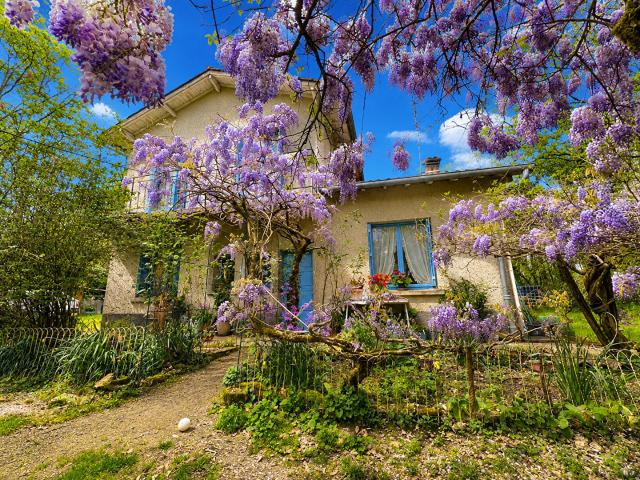 Maison vente à Montauban, Occitanie