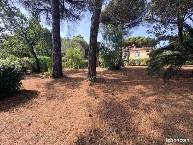 Maison vente à Arrondissement de Draguignan, Sainte-maxime