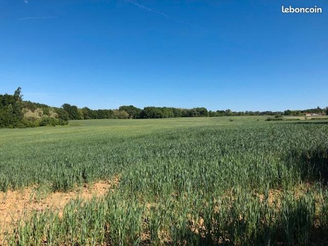 Maison vente à Toulouse, Gémil