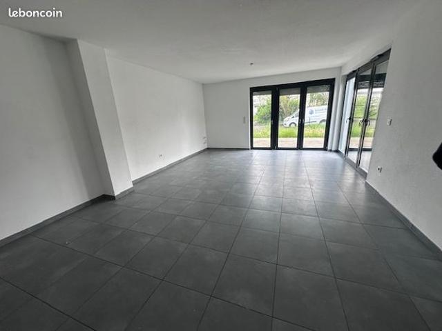 Maison vente à Mulhouse, Blotzheim