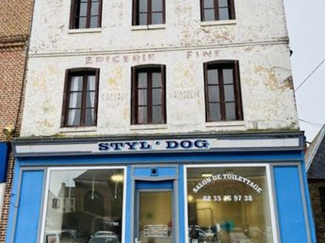 Maison vente à Rouen, Doudeville