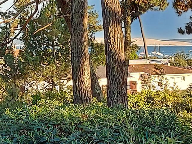 Maison vente à Arcachon, Lège-cap-ferret