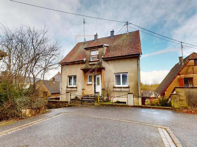 Maison vente à Haguenau-Wissembourg, Seltz