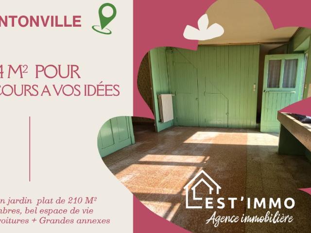 Maison vente à Nancy, Tantonville