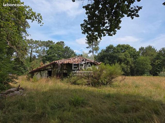 Maison vente à Mont-de-Marsan, Morcenx