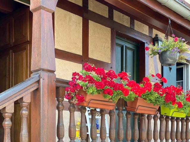Maison location à Sélestat-Erstein, Niedernai