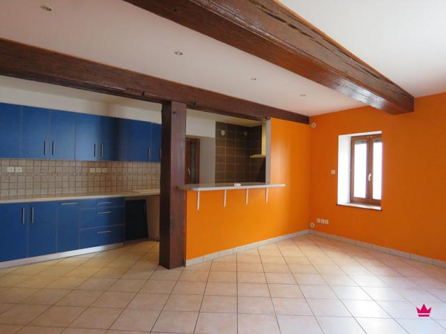 Maison vente à Lyon, Métropole de Lyon