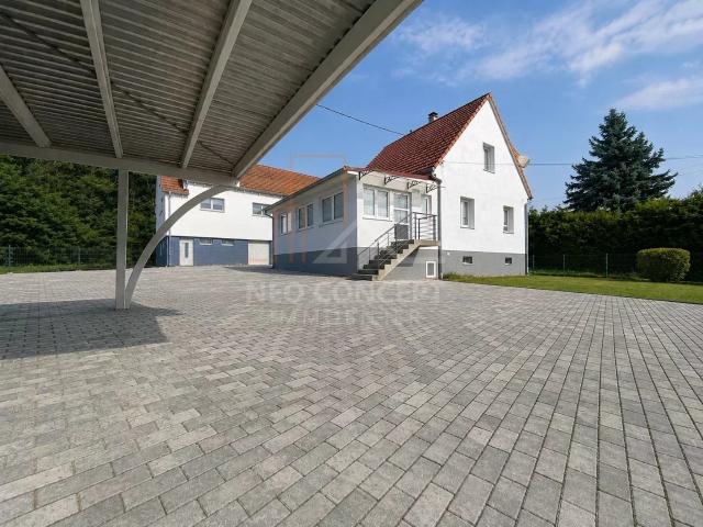 Maison vente à Haguenau-Wissembourg, Cleebourg