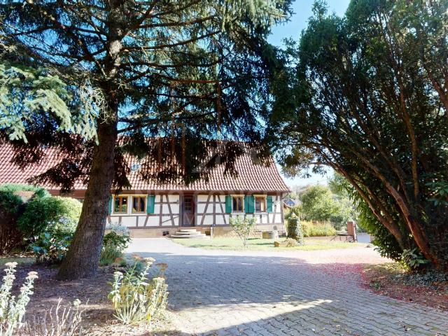 Maison vente à Wintzenbach, Collectivité européenne d'Alsace