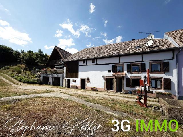 Maison vente à Colmar-Ribeauvillé, Lièpvre