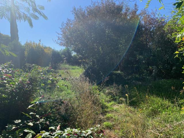 Maison vente à France métropolitaine, Pins-justaret