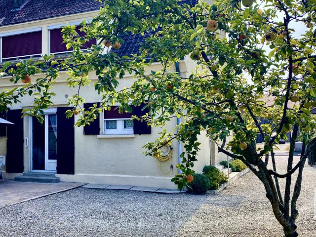 Maison vente à Bar-sur-Aube, Brienne-le-château