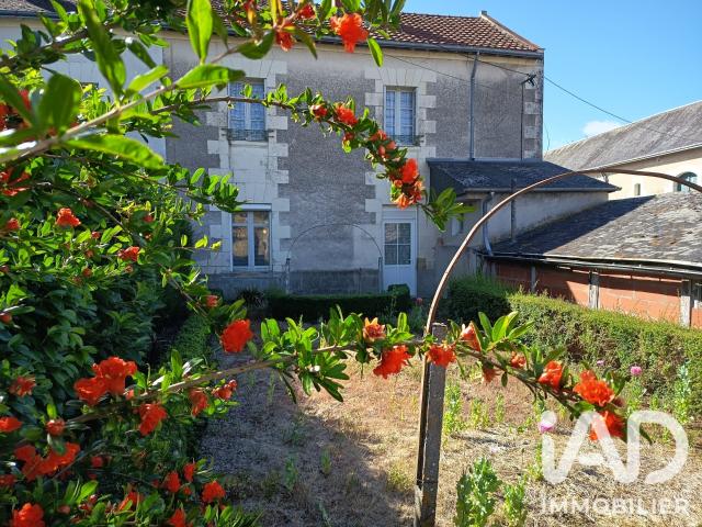 Maison vente à Chinon, La Tour-saint-gelin