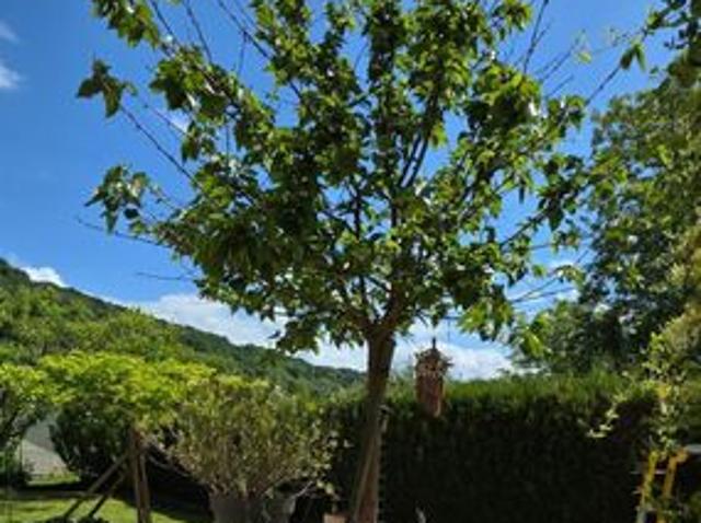 Maison vente à Besançon, Avanne-aveney