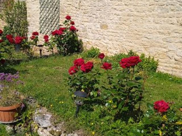 Maison vente à Fontenay-le-Comte, Saint-michel-le-cloucq