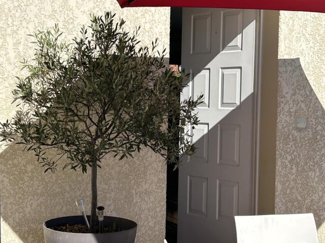 Maison vente à France métropolitaine, Toulouse