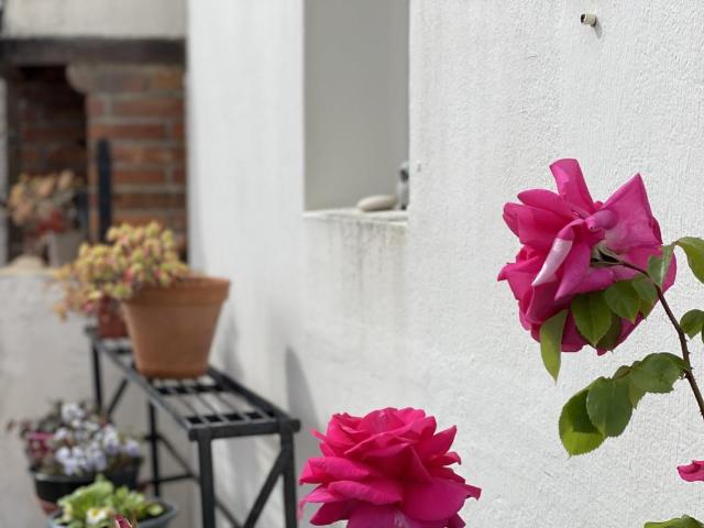 Maison vente à Les Sables-d'Olonne, Longeville-sur-mer