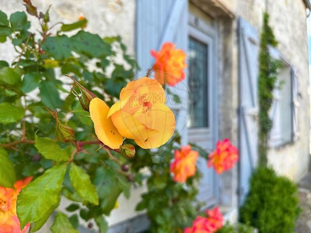Maison vente à Senlis