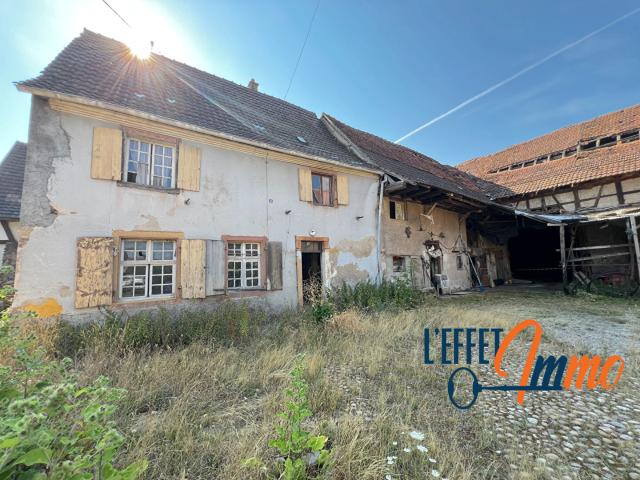 Maison vente à Colmar-Ribeauvillé, Sainte-croix-en-plaine