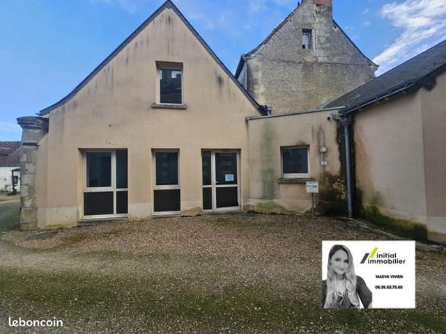 Maison vente à Chinon, Neuvy-le-roi