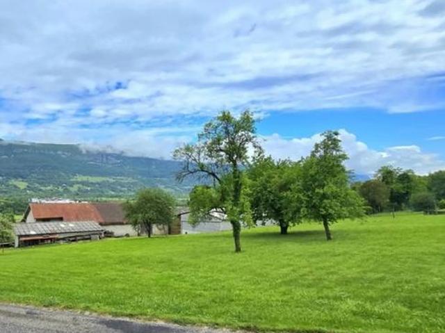 Maison vente à Saint-Julien-en-Genevois, Seyssel