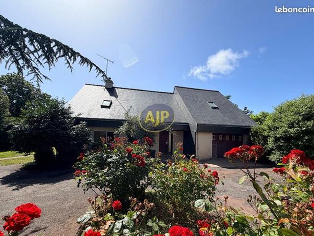 Maison vente à Châteaubriant-Ancenis, Guémené-penfao