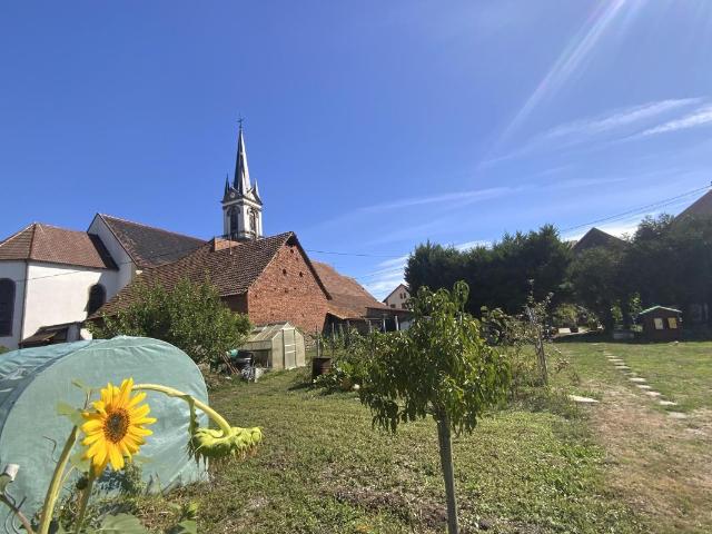 Maison vente à Mussig, Collectivité européenne d'Alsace