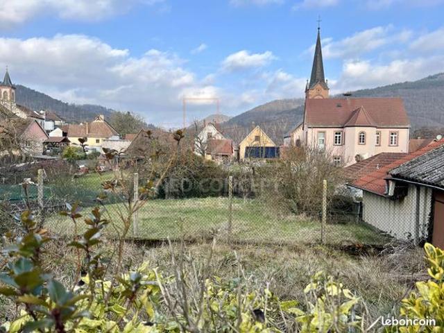 Maison vente à Haguenau-Wissembourg, Zinswiller