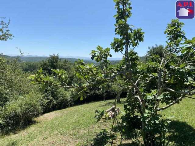 Maison vente à Pamiers, Mirepoix