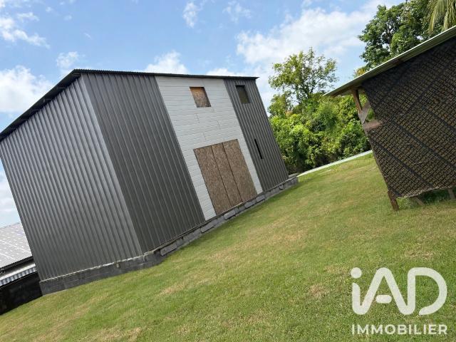 Maison vente à La Réunion