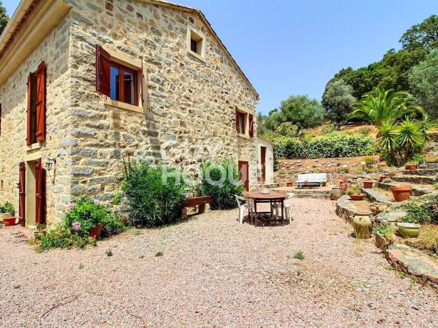 Maison vente à Ajaccio, Tavaco