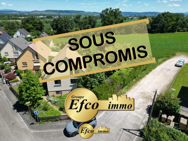 Maison vente à Mulhouse, Saint-louis