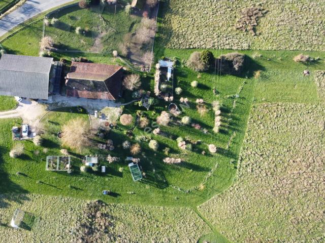 Maison vente à Louhans-Châteaurenaud, Louhans