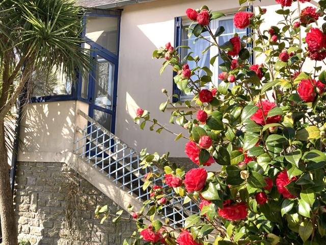Maison vente à Châteaulin, Bretagne