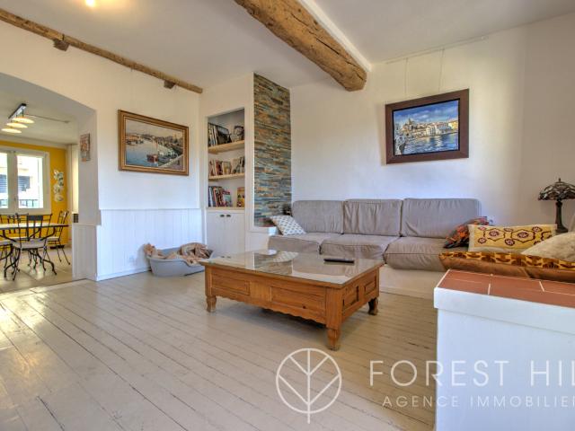 Maison vente à Céret, Pyrénées-Orientales