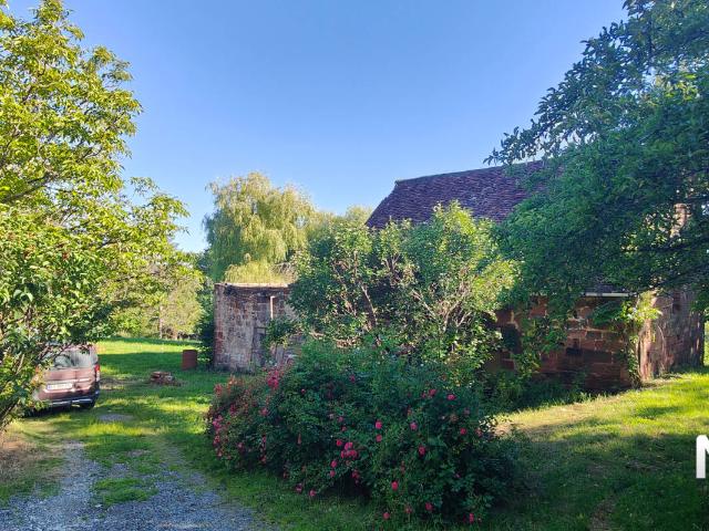Maison vente à Saint-Robert, Corrèze