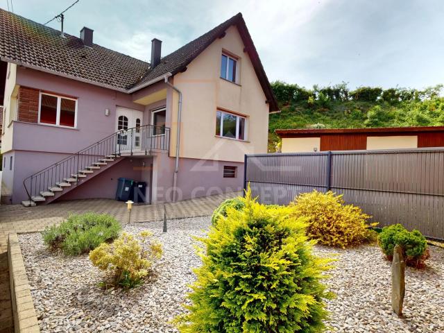 Maison vente à Haguenau-Wissembourg, Mothern