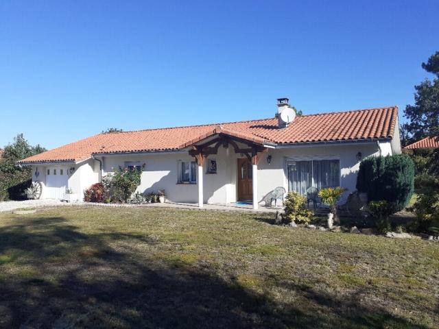 Maison vente à France métropolitaine, Sanguinet