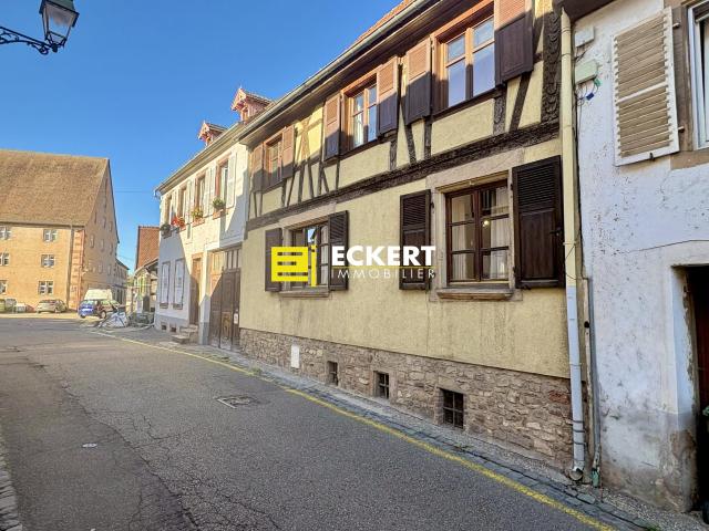 Maison vente à Molsheim, Collectivité européenne d'Alsace
