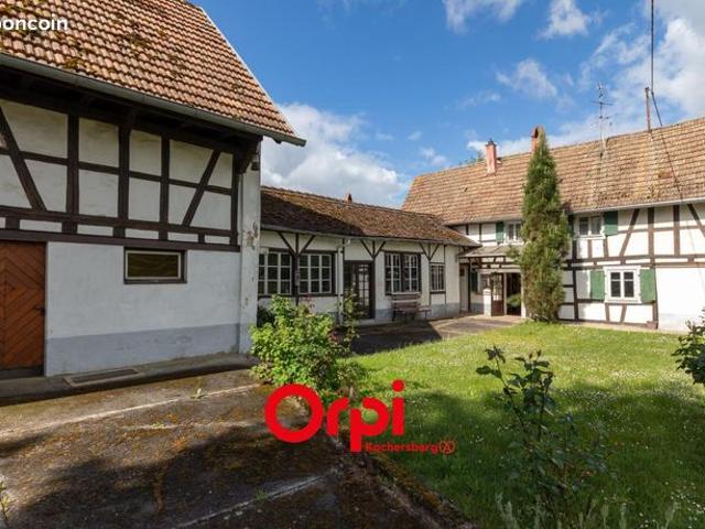 Maison vente à Haguenau-Wissembourg, Bilwisheim