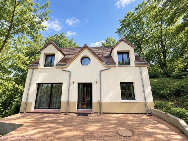 Maison vente à Saint-Liesnes, Nanteau-sur-Lunain