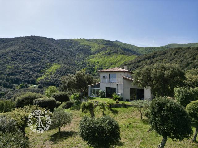 Maison vente à Céret, Laroque-des-albères