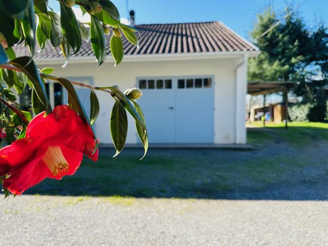 Maison vente à Dax, Saint-geours-de-maremne