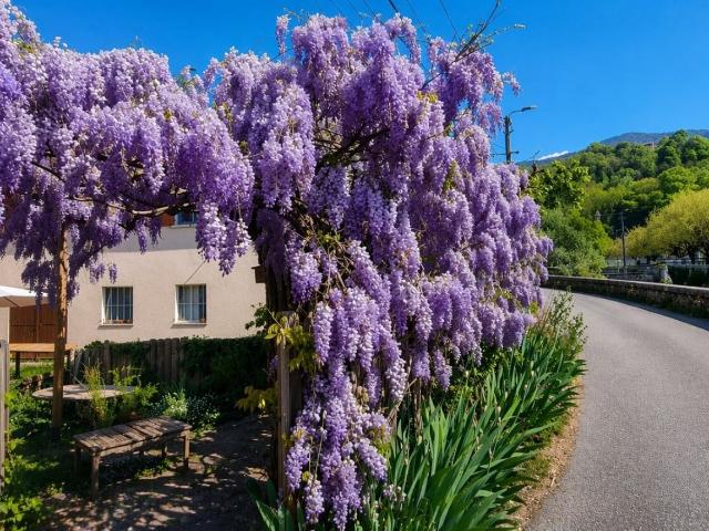 Maison vente à Villard-Benoit, Pontcharra